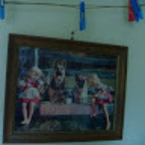 Meet your Posher, Shane